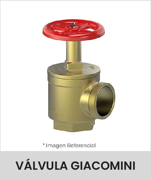 Descripción de la imagen